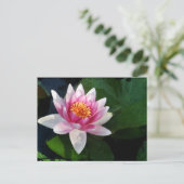 Lotus2 Briefkaart (Staand voorkant)