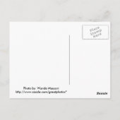 Lotus 1 briefkaart (Achterkant)