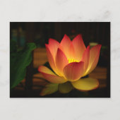 Lotus 1 briefkaart (Voorkant)