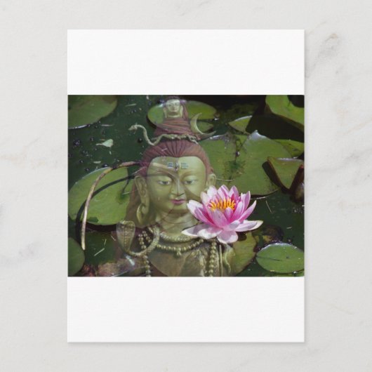 Lotus 1 en Boeddha Briefkaart (Voorkant)