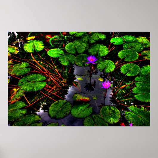 Lotus 1 poster (Voorkant)