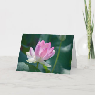 Lotus #2444 kaart