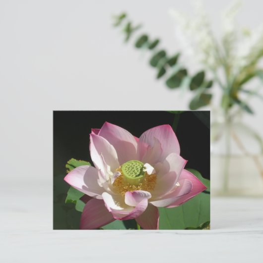 Lotus Aankondigingskaart (Staand voorkant)