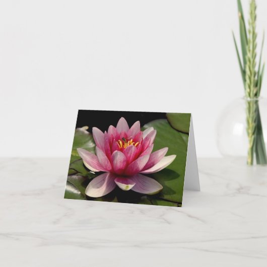 Lotus All Occasion Notecard Bedankkaart (Voorkant)
