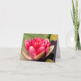 Lotus All Occasion Notecard Bedankkaart