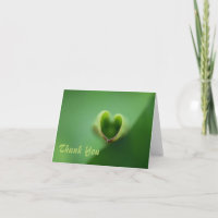 Lotus All Occasion Notecard