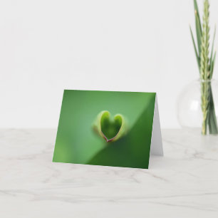 Lotus All Occasion Notecard Bedankkaart