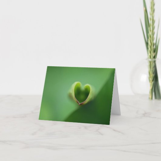 Lotus All Occasion Notecard Bedankkaart (Voorkant)