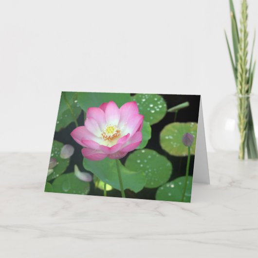 Lotus Beauty Kaart (Voorkant)