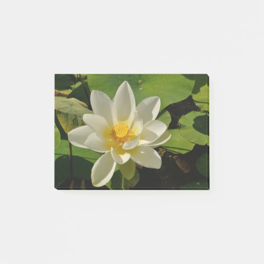 Lotus Blanc in een vijver Post-it® Notes (Voorkant)