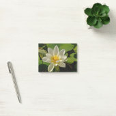 Lotus Blanc in een vijver Post-it® Notes (Kantoor)