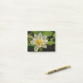 Lotus Blanc in een vijver Post-it® Notes (Op bureau)