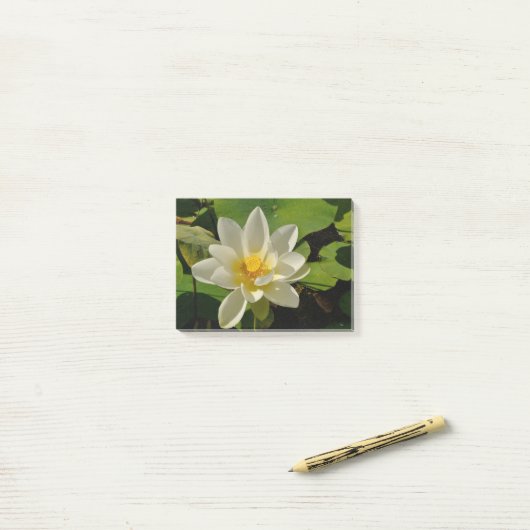 Lotus Blanc in een vijver Post-it® Notes (Op bureau)