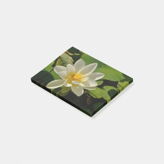 Lotus Blanc in een vijver Post-it® Notes (Schuin)