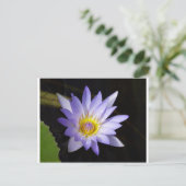 lotus bleu du Nil Briefkaart (Staand voorkant)