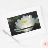 Lotus Bloem Cadeaus Rechthoekige Sticker (Envelop)