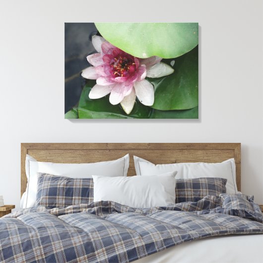 Lotus Bloem Fotografie Canvas Print (Insitu (Slaapkamer))