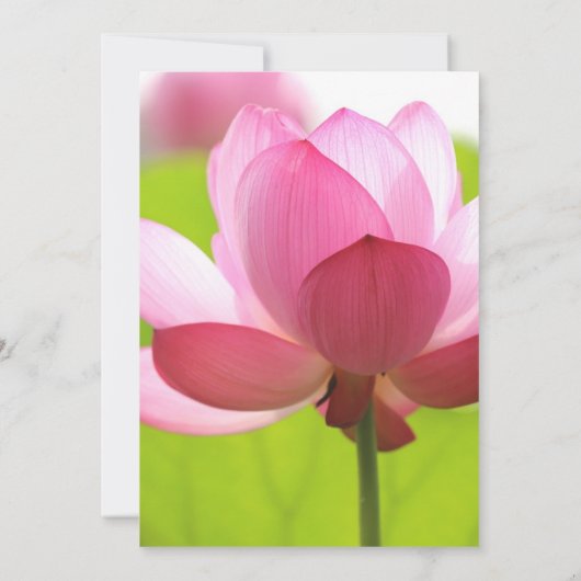 Lotus Bloem Hindoe Karma Symbool Bruiloft Kaart (Achterkant)
