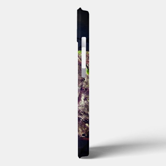 Lotus bloem in herfst iPhone / iPad hoesje (Achterkant / Links)