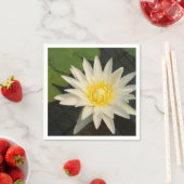 lotus, bloem, natuur, bloesem, bloem, plant; servet (Insitu)