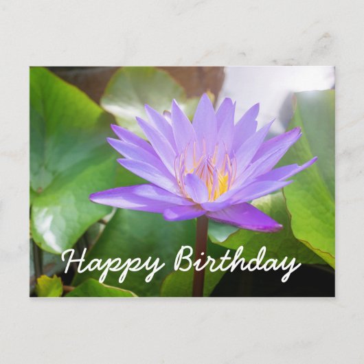 Lotus bloem paarse kleur met bladeren pad briefkaart (Voorkant)