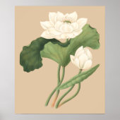 Lotus Bloem van Oost-Indische Botanische Kunst Poster (Voorkant)