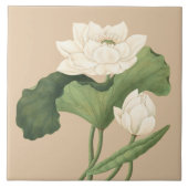 Lotus Bloem van Oost-Indische Botanische Kunst Tegeltje (Voorkant)