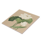 Lotus Bloem van Oost-Indische Botanische Kunst Tegeltje (Zijkant)