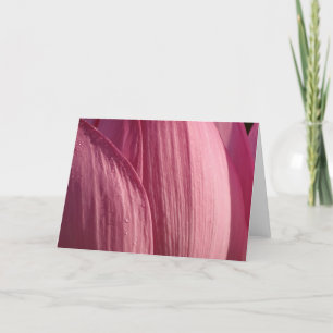 Lotus Bloemblaadjes Roze Bloem Kaart