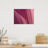 Lotus Bloemblaadjes Roze Bloem Poster (Keuken)