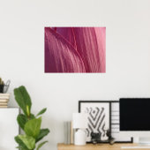 Lotus Bloemblaadjes Roze Bloem Poster (Thuiskantoor)