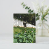 Lotus bloemen in de Tempelgracht Briefkaart (Staand voorkant)