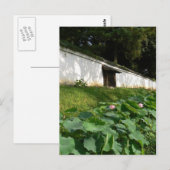 Lotus bloemen in de Tempelgracht Briefkaart (Voorkant / Achterkant)