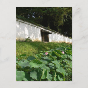 Lotus bloemen in de Tempelgracht Briefkaart