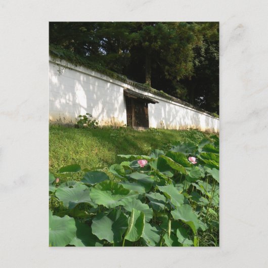 Lotus bloemen in de Tempelgracht Briefkaart (Voorkant)