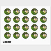 Lotus Bloemen Vijvers Ronde Sticker (Vel)