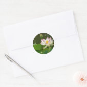Lotus Bloemen Vijvers Ronde Sticker (Envelop)