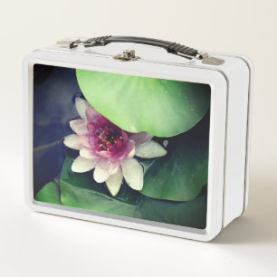 Lotus Bloemfotografie Lunchbox