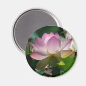 Lotus Bloemmagneet Magneet (Voorkant / Achterkant)