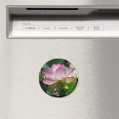 Lotus Bloemmagneet Magneet (Insitu (Vaatwasser))