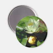 Lotus bloesemmagneet magneet (Voorkant / Achterkant)