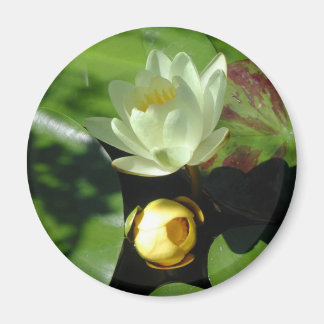 Lotus bloesemmagneet magneet