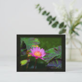 Lotus Bloom Briefkaart (Staand voorkant)
