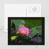 Lotus Bloom Briefkaart (Voorkant / Achterkant)