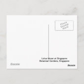 Lotus Bloom Briefkaart (Achterkant)