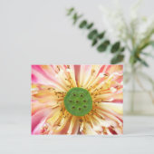 Lotus Bloom Briefkaart (Staand voorkant)