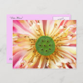 Lotus Bloom Briefkaart (Voorkant / Achterkant)