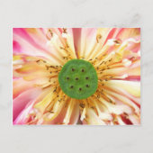 Lotus Bloom Briefkaart (Voorkant)