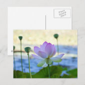 Lotus Bloom Briefkaart (Voorkant / Achterkant)