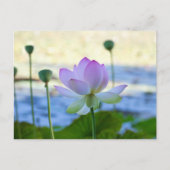 Lotus Bloom Briefkaart (Voorkant)
